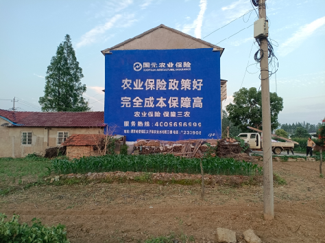 岳西墙体广告为何受追捧？