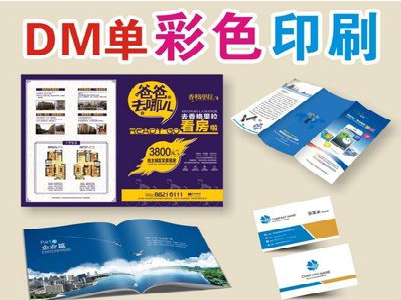 岳西单页印刷，色彩搭配简单。